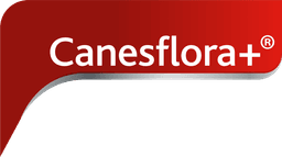 Canesflora+