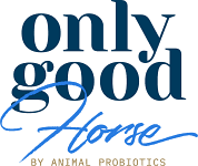 OnlyGoodHorse